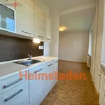 Rent 1 bedroom apartment of 19 m² in Trhový Štěpánov