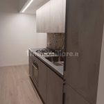 Rent 3 bedroom apartment of 120 m² in Parma