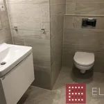 Pronajměte si 1 ložnic/e byt o rozloze 32 m² v Prague