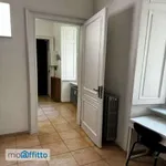 Rent 2 bedroom apartment of 50 m² in Turin