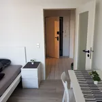 Rent 1 bedroom apartment of 25 m² in Magdeburg