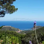 Rent 4 bedroom house of 140 m² in Monte Argentario