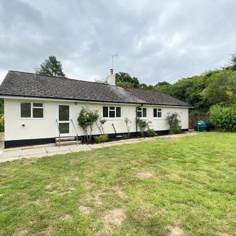 Detached bungalow to rent in Crook Hill, Romsey SO51