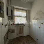 Rent 2 bedroom apartment of 65 m² in Turin