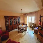 Rent 6 bedroom apartment of 100 m² in Campobasso