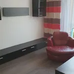 Rent 2 bedroom apartment of 47 m² in Sosnowiec