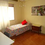 Rent a room in cordoba