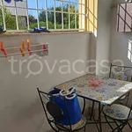 Rent 2 bedroom apartment of 60 m² in Anzio