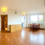 Rent 1 bedroom apartment in Praha 8