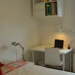 Rent a room in madrid