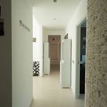 Rent a room in Bologna