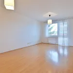 Rent 3 bedroom apartment in Brno