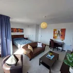 Rent 1 bedroom apartment of 55 m² in Cape Town