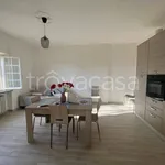 Rent 3 bedroom apartment of 100 m² in Bibbona