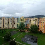 Rent 2 bedroom apartment of 62 m² in Jirkov