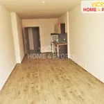 Rent 1 bedroom apartment of 26 m² in Chodov