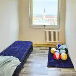 Rent 3 bedroom apartment of 66 m² in Nový Jičín