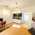 Rent 1 bedroom apartment of 26 m² in Prague