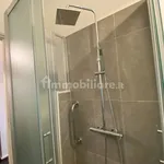 Rent 1 bedroom apartment of 30 m² in Turin