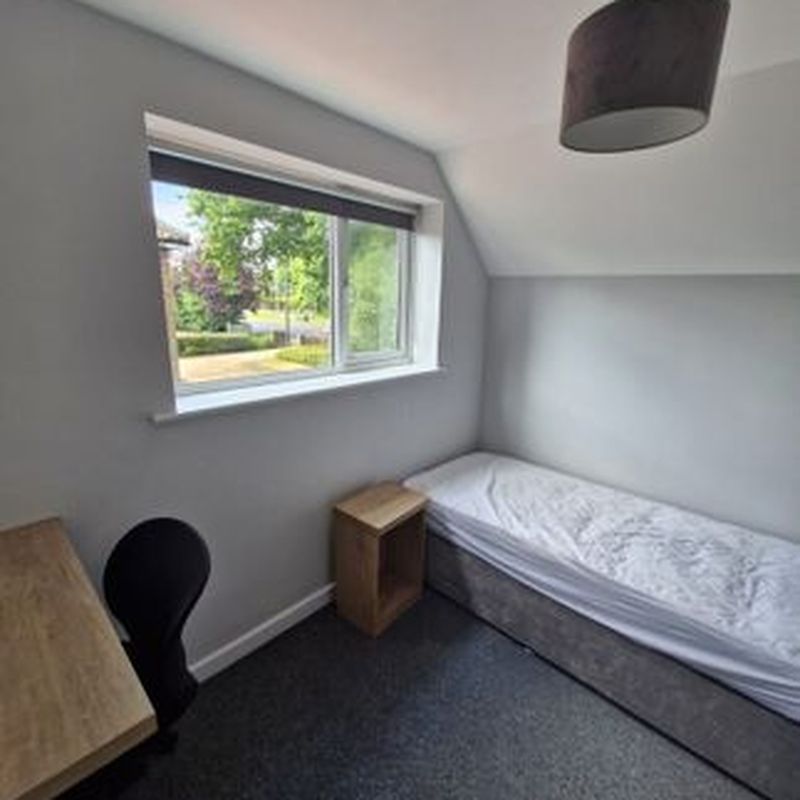 Room to rent in Ipswich Road, Norwich NR4