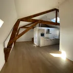 Rent 2 bedroom apartment of 62 m² in Zuid