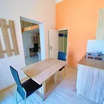 Rent 1 bedroom apartment in Brno