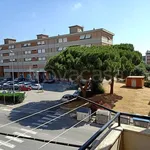 Rent 3 bedroom apartment of 65 m² in Piombino