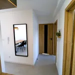 Rent 3 bedroom apartment of 62 m² in Rybnik