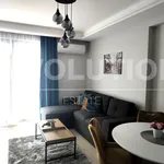 Rent 2 bedroom apartment of 65 m² in Каменица 2