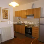 Rent 2 bedroom apartment of 47 m² in Udine