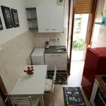 Rent 3 bedroom apartment of 50 m² in Siena