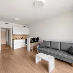 Studio of 34 m² in Prague