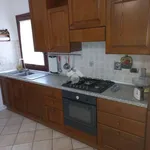 Rent 4 bedroom apartment of 100 m² in Montespertoli