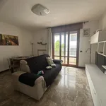 Rent 3 bedroom apartment of 100 m² in Padova