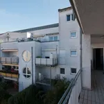 Rent 2 bedroom apartment of 60 m² in Karlsruhe