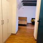 Studio o rozloze 32 m² v Brno