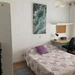 Rent 3 bedroom apartment in Madrid