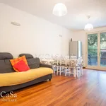 Rent 5 bedroom apartment of 100 m² in Pisa