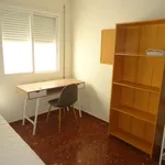 Rent a room in cordoba