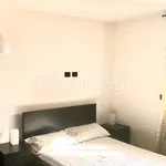 Rent 1 bedroom apartment of 35 m² in Torino