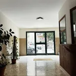 Rent 3 bedroom apartment of 90 m² in Roma