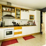 Rent 3 bedroom apartment of 150 m² in Pescara