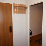 Rent 2 bedroom apartment of 42 m² in Płock