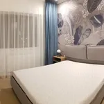 Rent 2 bedroom apartment of 60 m² in Bucharest