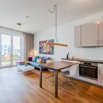 Rent 2 bedroom apartment of 49 m² in Berlin