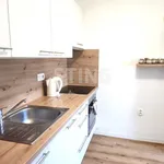 Rent 1 bedroom apartment in Přerov