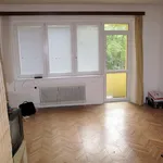 Rent 1 bedroom apartment of 45 m² in Brno