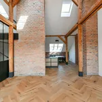 Rent 4 bedroom apartment of 153 m² in Capital City of Prague