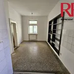 Rent 3 bedroom apartment of 134 m² in Plzeň