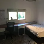 Rent 5 bedroom apartment in Valencia